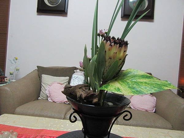 IMG_0022.JPG