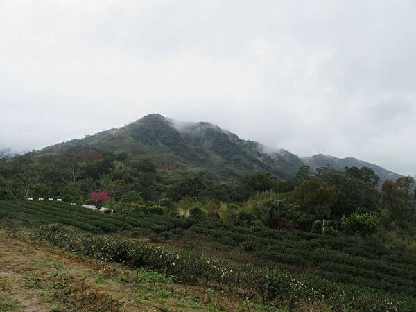 IMG_0074.JPG