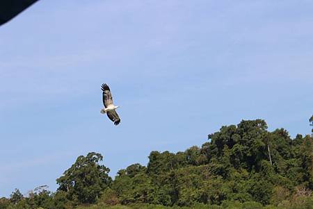IMG_7998 - 複製