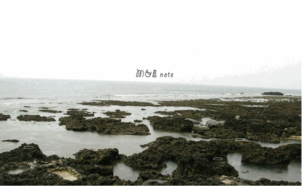 萬里桐+雨動畫