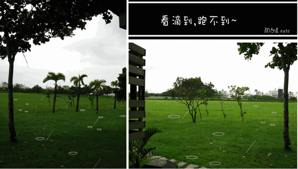 墾丁合作社+雨動畫
