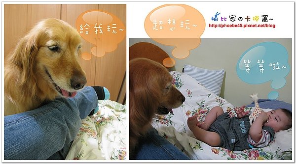 蘇菲真受歡迎