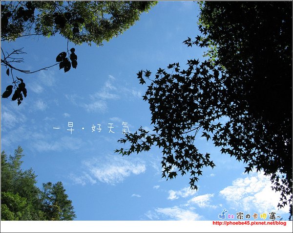 一早好天氣.jpg