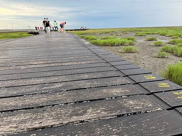 高美濕地棧道