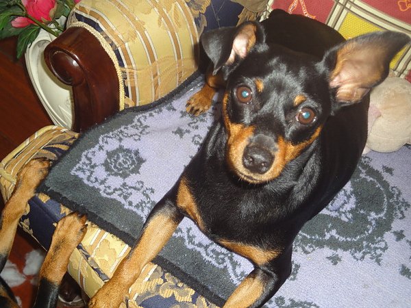DSC01062.JPG