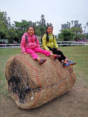 IMG_20170226_104201_HDR.jpg - 106年1-6月