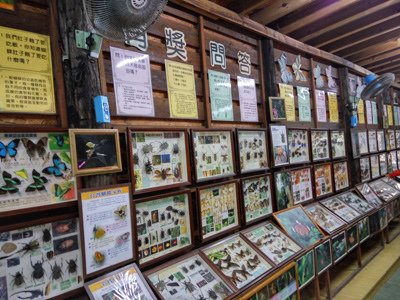 IMG_20170226_131839_HDR.jpg - 106年1-6月
