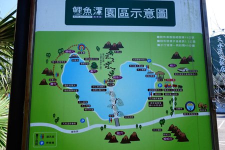 DSC05185.JPG - 105年7月～12月