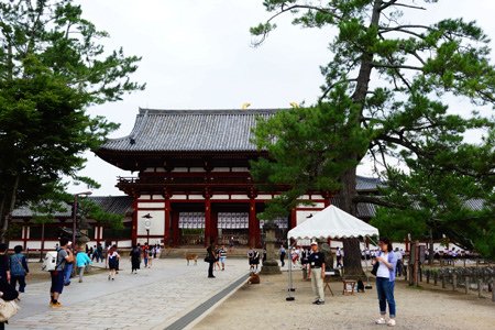 DSC04545.JPG - 105年戀上日本四國~小豆島．溫泉五日遊