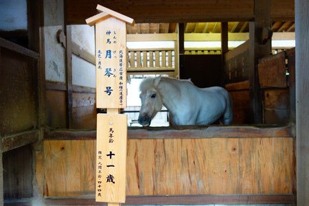 DSC03580.JPG - 105年戀上日本四國~小豆島．溫泉五日遊