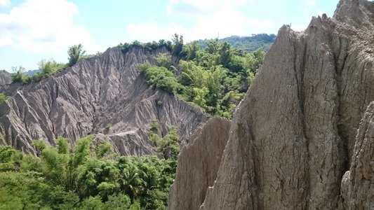 28-1.JPG - 105年7月～12月