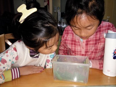 IMG_20160303_222908.jpg - 106年1月～6月
