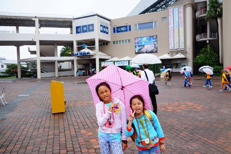 DSC08913.JPG - 105年日本東京魔法五日遊