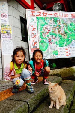 DSC08417.JPG - 105年日本東京魔法五日遊