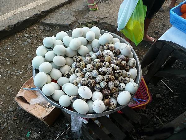 balut_3.jpg