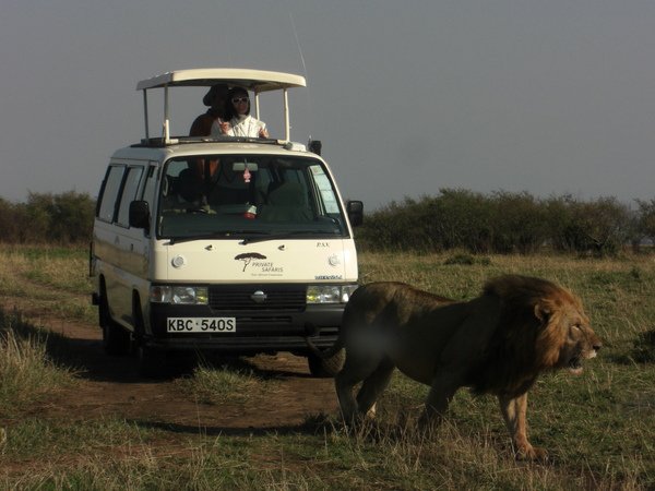 獵遊-SAFARI.JPG