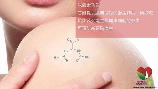 保養品成分介紹-尿囊素