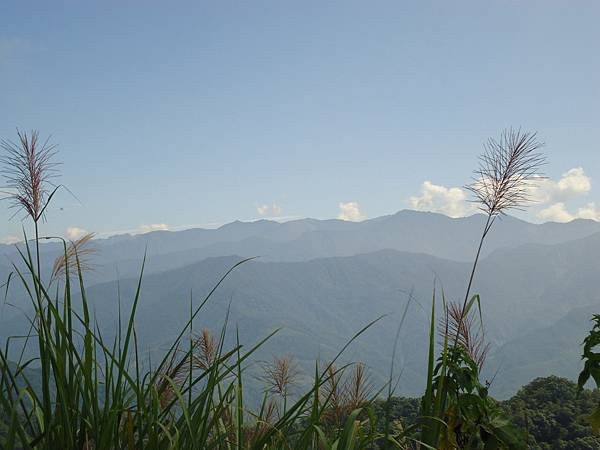 DSC00391.JPG