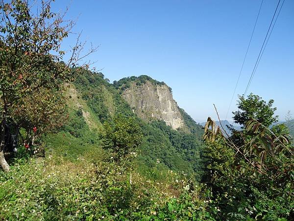 DSC00379.JPG