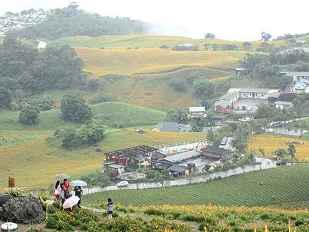 2013.9.1-9 -- 台東富里鄉六十石山金針花海