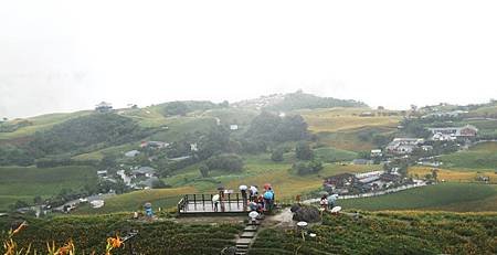 2013.9.1-9 -- 台東富里鄉六十石山金針花海