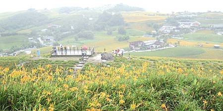 2013.9.1-9 -- 台東富里鄉六十石山金針花海