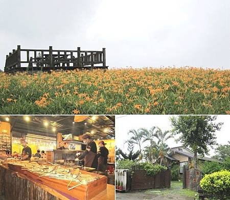 2013.9.1 -- 台東富里鄉六十石山金針花海、花蓮(自強夜市、金澤居民宿和早餐)