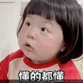 電影觀後心得《芙莉歐莎：瘋狂麥斯傳奇篇章》後末日逆境生存 飛