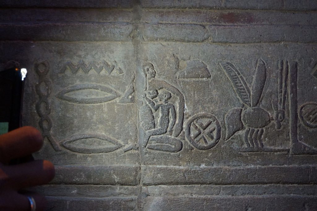 DSC07866