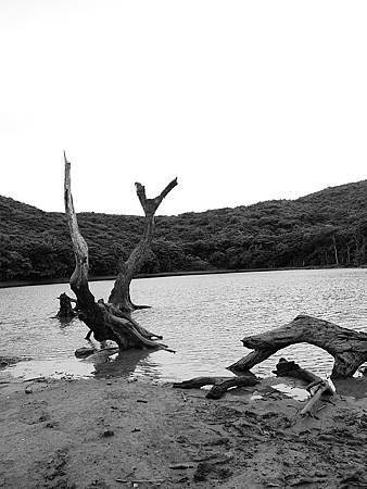 P1100860.jpg