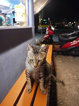 P1100916.jpg