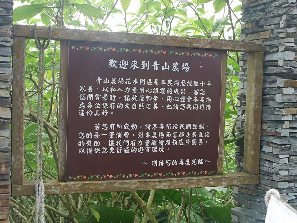 P1120354.jpg