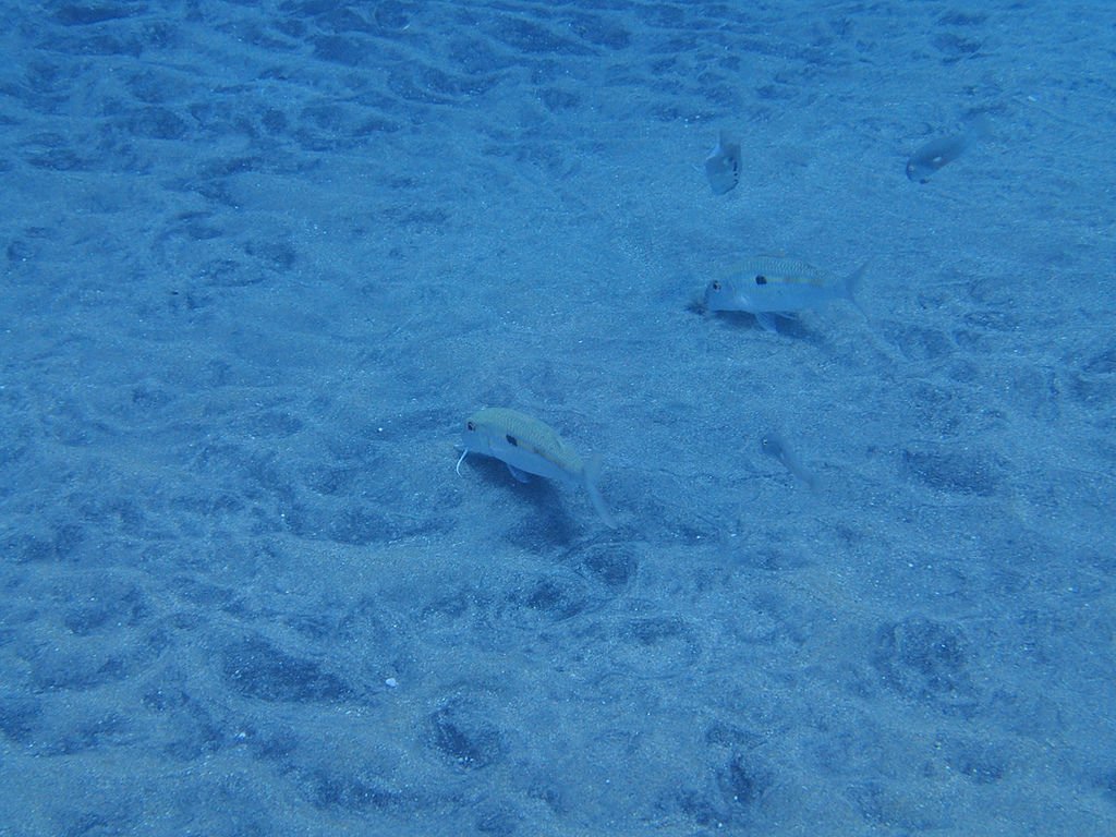 P7150291.jpg