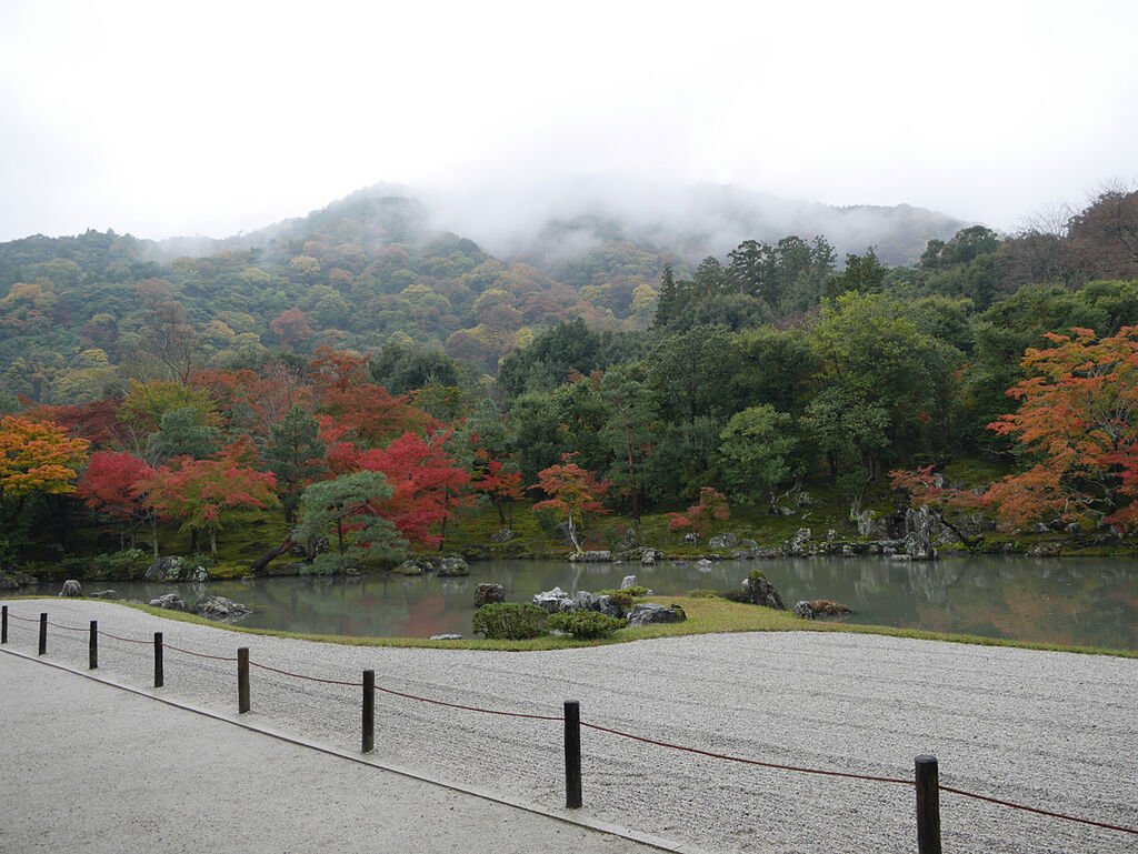 P1120964.jpg