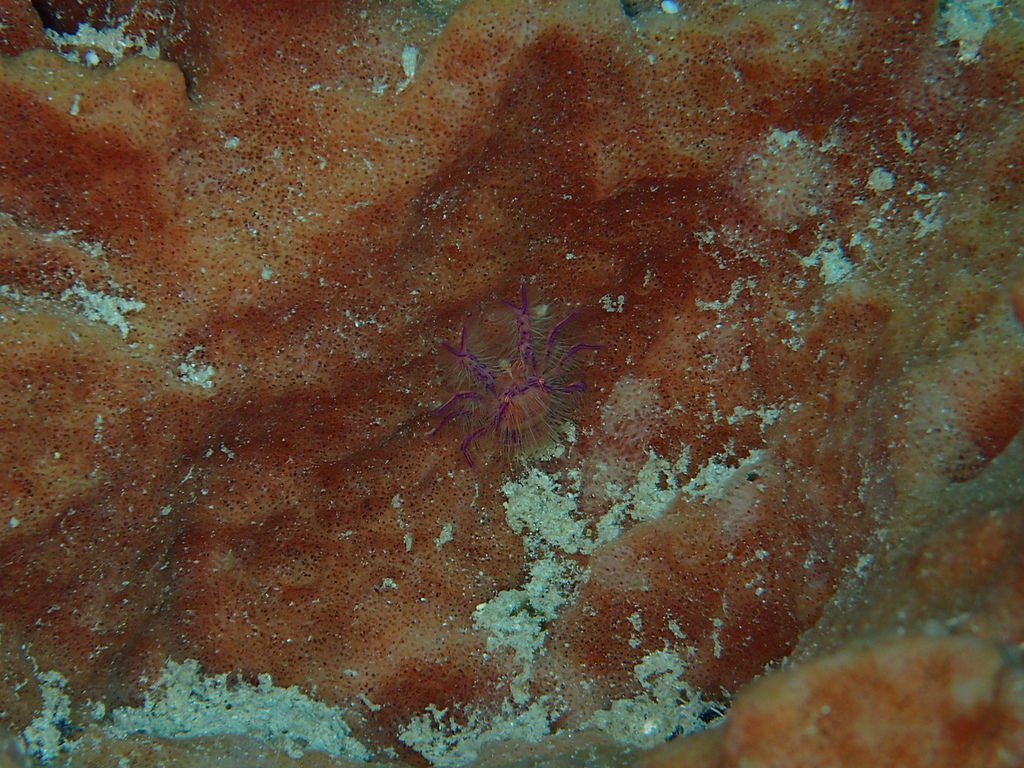 P6240324.jpg