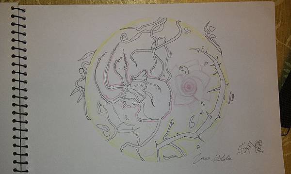 2014-06-14 22.56.39.jpg