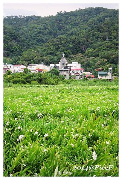 IMG_2461_副本.jpg