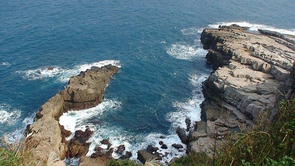 DSC01132a.jpg