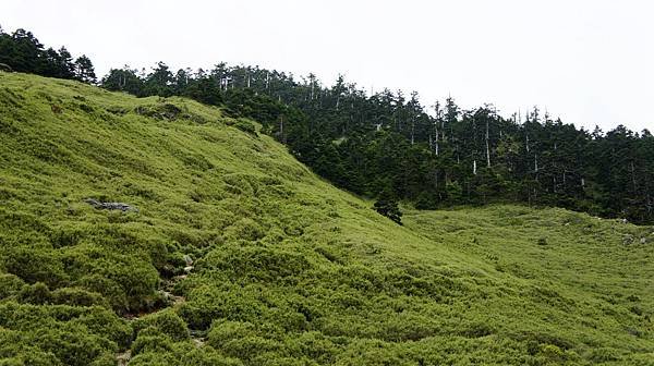 DSC03241.JPG