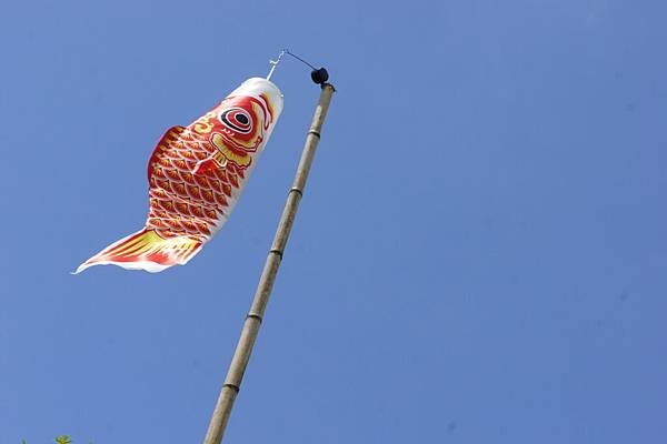 DSC04192