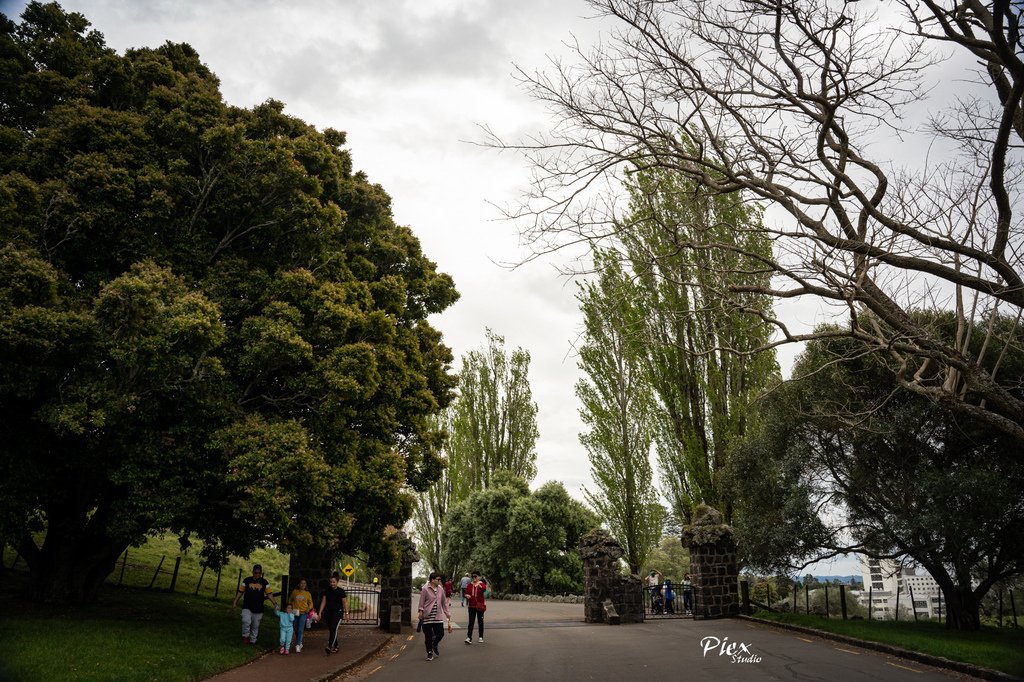 紐西蘭自駕 GO - 18 漢彌爾頓花園
