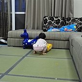 照片 010.jpg