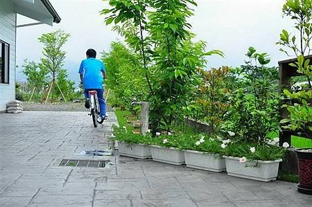 照片 310.jpg