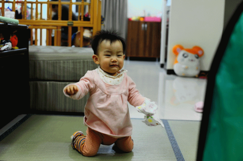 991113咬毛巾爬行.gif