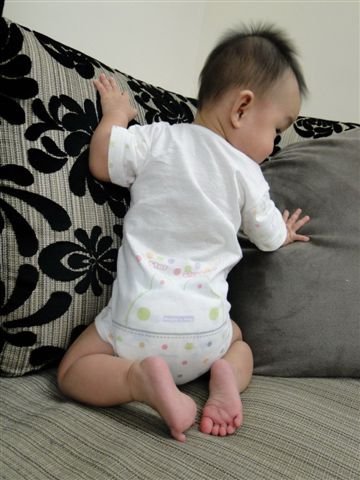 DSC07441.JPG