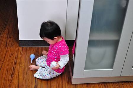 照片 478.jpg