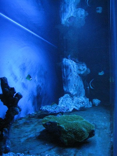 IMG_0827.jpg