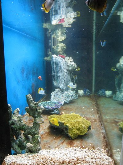 IMG_0840.jpg
