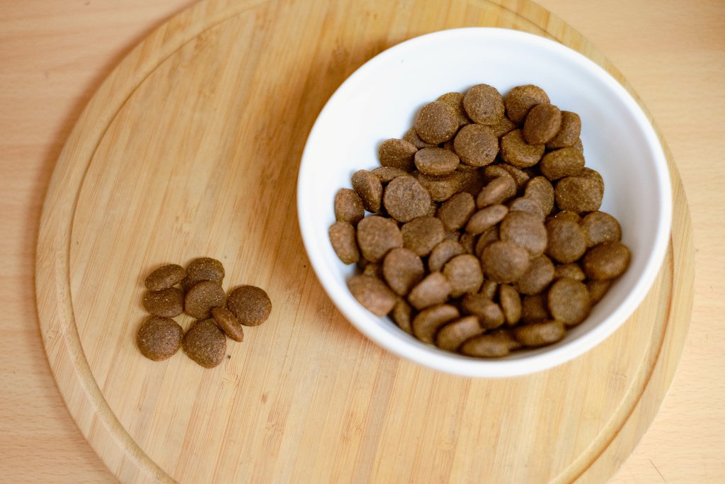 無穀狗飼料推薦-澳克騎士.jpg
