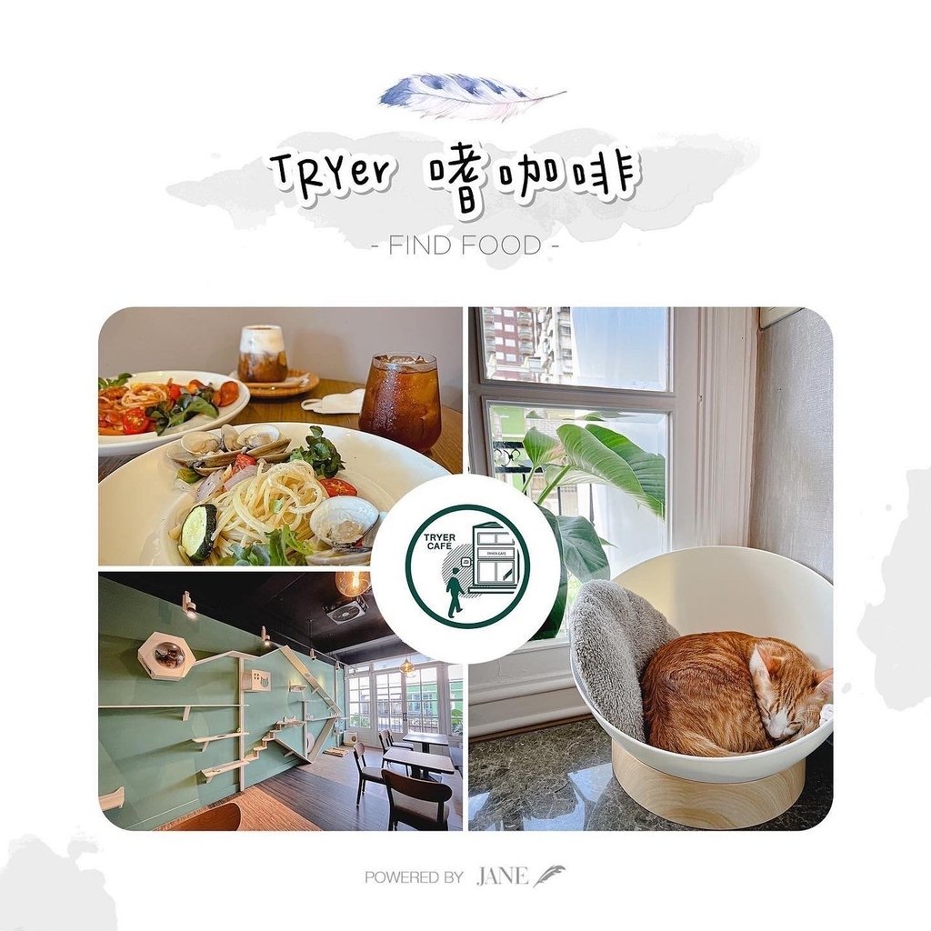 高雄貓咪咖啡廳-Tryer Cafe 嗜咖啡.jpg